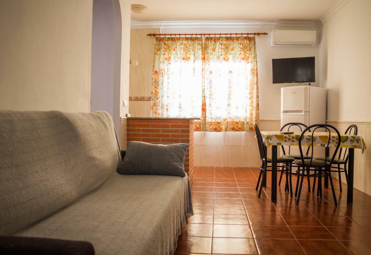Apartamentos Bellavista 博罗尼亚 外观 照片